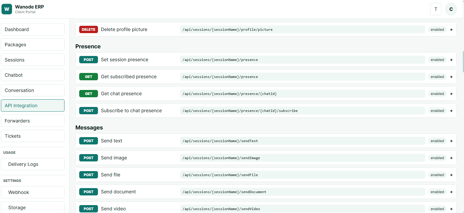 API testing